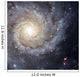 Spiral Galaxy M74 Wall Decal