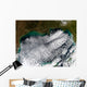 Cloud Streets Gulf Mexico Wall Decal