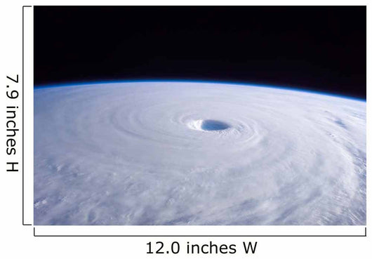 Typhoon Nabi Wall Decal Design 1
