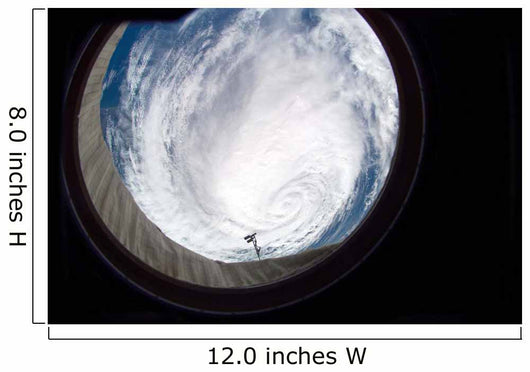 Hurricane Ophelia Wall Decal Design 2