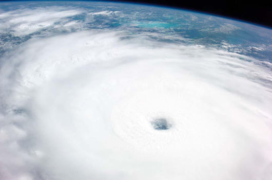 Hurricane Rita Wall Decal