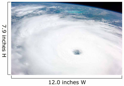 Hurricane Rita Wall Decal
