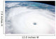 Hurricane Rita Wall Decal