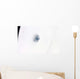 Eye Hurricane Rita Wall Decal