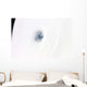 Eye Hurricane Rita Wall Decal