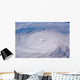 Typhoon Longwang Wall Decal