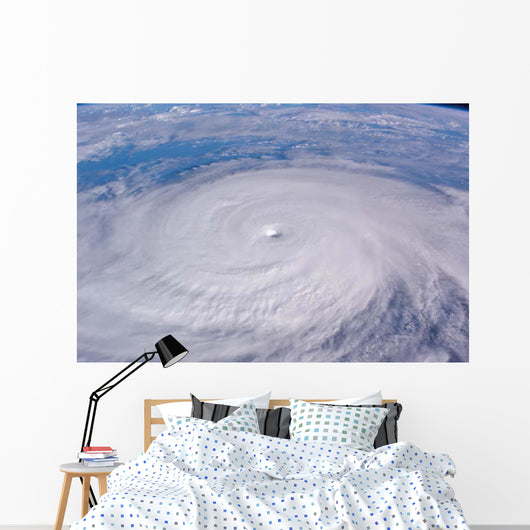 Typhoon Longwang Wall Decal
