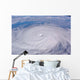 Typhoon Longwang Wall Decal