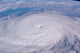 Typhoon Longwang Wall Decal