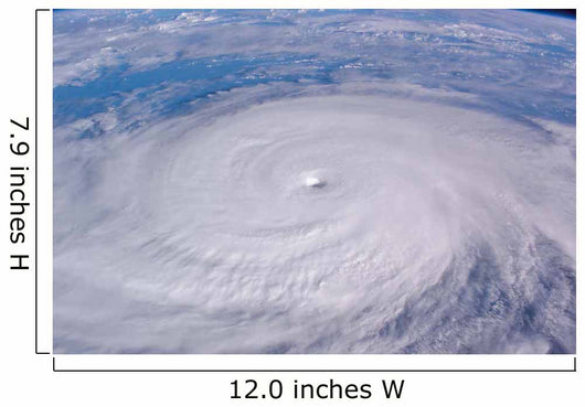 Typhoon Longwang Wall Decal