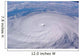Typhoon Longwang Wall Decal