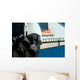 Space Shuttle Atlantis Wall Decal Design 14