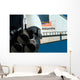 Space Shuttle Atlantis Wall Decal Design 14