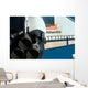 Space Shuttle Atlantis Wall Decal Design 14