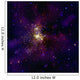 Westerlund 2 Young Star Wall Decal
