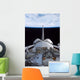 Space Shuttle Discovery's Cargo Wall Decal
