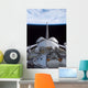 Space Shuttle Discovery's Cargo Wall Decal