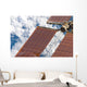 Repaired Solar Array International Wall Decal Design 2