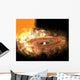 Accretion Disk around Binary Wall Decal