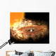 Accretion Disk around Binary Wall Decal
