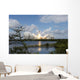 Space Shuttle Discovery Liftoff Wall Decal
