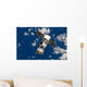 Unpiloted Progress 17 Supply Wall Decal
