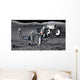 Artists Rendering Future Space Wall Decal