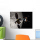 Concept Orion Crew Exploration Wall Decal