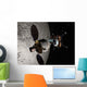 Concept Orion Crew Exploration Wall Decal
