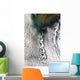 Cloud Vortices off Cheju Wall Decal Design 2