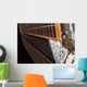 Solar Array Wing International Wall Decal
