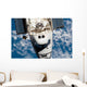 Space Shuttle Endeavour Wall Decal Design 16