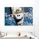 Space Shuttle Endeavour Wall Decal Design 16