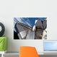 Space Shuttle Endeavour Wall Decal Design 17