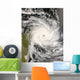 Tropical Cyclone Ivan over Wall Decal