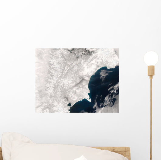 Ash from Karymsky Volcano Wall Decal