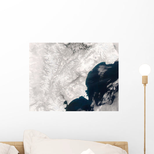 Ash from Karymsky Volcano Wall Decal