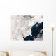 Ash from Karymsky Volcano Wall Decal
