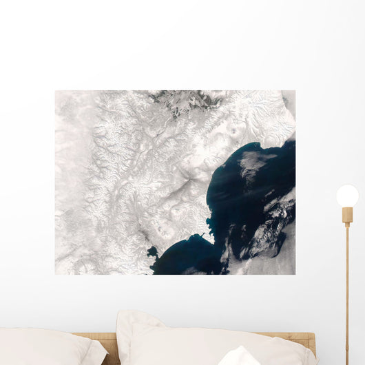 Ash from Karymsky Volcano Wall Decal