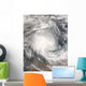 Tropical Cyclone Nicholas Approaching Wall Decal