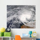 Tropical Cyclone Nicholas off Wall Decal
