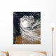 Tropical Cyclone Ophelia off Wall Decal