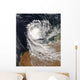 Tropical Cyclone Ophelia off Wall Decal