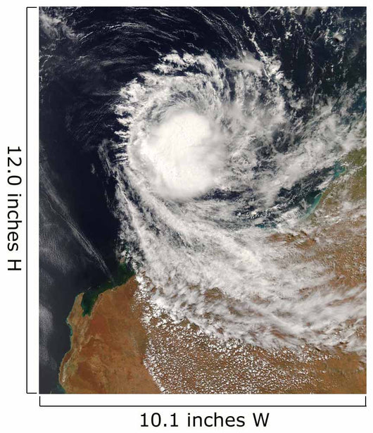 Tropical Cyclone Ophelia off Wall Decal