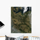 Satellite North Central Europe Wall Decal