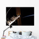 Section International Space Station Wall Decal