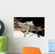 Canadian-built Dextre Robotic System Wall Decal Design 1