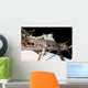 Canadian-built Dextre Robotic System Wall Decal Design 1