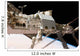 Canadian-built Dextre Robotic System Wall Decal Design 1