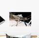 Canadian-built Dextre Robotic System Wall Decal Design 2